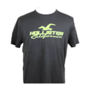 Hollister Print Logo T-shirt - Gray